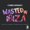 Wasted In Ibiza - Tropical House & Future Bass Sounds - EP album lyrics, reviews, download