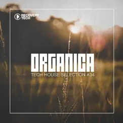 Organica #34 by Various Artists album reviews, ratings, credits