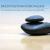 Meditationsübungen - 50 Meditationsmusik und Entspannungslieder album lyrics, reviews, download