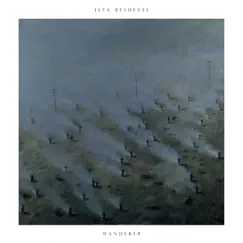 Wanderer (Deluxe Edition) by Ilya Beshevli album reviews, ratings, credits