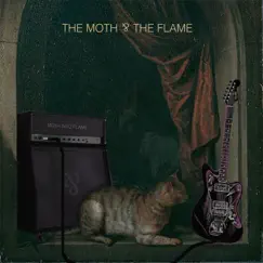 Moth Into Flame Song Lyrics