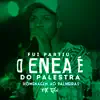 Fui Partiu o Enea É do Palestra: Homenagem ao Palmeiras song lyrics