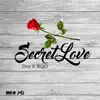 Secret Love - Single album lyrics, reviews, download