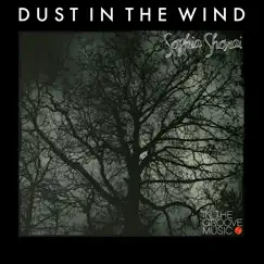 Dust in the Wind (feat. Sophia Shorai) - Single by Drew Lerdal album reviews, ratings, credits