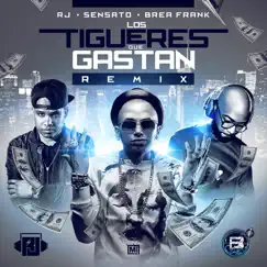 Los Tigueres Que Gastan (Remix) [feat. Brea Frank & R.J.] - Single by Sensato album reviews, ratings, credits