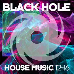 Black Hole House Music 12-16 by Various Artists album reviews, ratings, credits