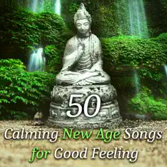 50 Calming New Age Songs for Good Feeling: Music for Total Relaxation & Meditation, Yoga Class, Healing Massage by Various Artists album reviews, ratings, credits