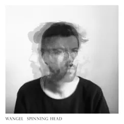 Spinning Head (Acoustic Version) Song Lyrics