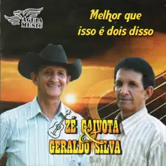 Melhor Que Isso É Dois Disso by Zé Gaivota & Geraldo Silva album reviews, ratings, credits