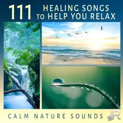 Relaxing Sounds, Massage and Sleep Therapy Song Lyrics