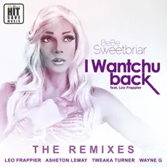 I Wantchu Back Ft. Leo Frappier (Tweaka Turner Big Room House Mix) Song Lyrics