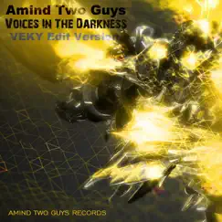 Voices in the Darkness - Single by Amind Two Guys album reviews, ratings, credits