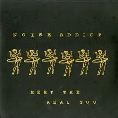 Meet the Real You by Noise Addict album reviews, ratings, credits