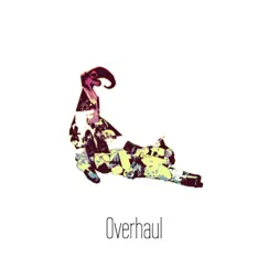 Overhaul by LioneL album reviews, ratings, credits