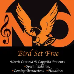 Bird Set Free (feat. Special Edition) Song Lyrics