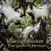 Tree Goats of Morocco album lyrics, reviews, download