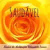 Saudável - Música de Meditação Relaxante Suave para Ajuda Espiritual Alinhamento dos Chakras Bem Estar com Sons Instrumentais New Age Naturais album lyrics, reviews, download