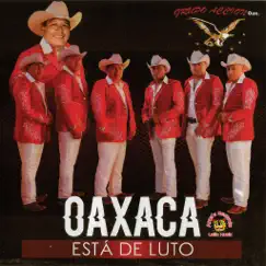 Oaxaca Esta De Luto by Grupo Accion Oaxaca album reviews, ratings, credits