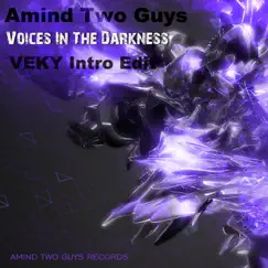 Voices in the Darkness (VEKY Intro Edit) - Single by Amind Two Guys album reviews, ratings, credits