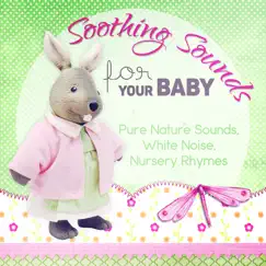 Smart Baby Lullaby (Little Bear) Song Lyrics