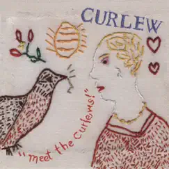 Meet the Curlews by Curlew album reviews, ratings, credits