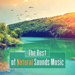 Natural Island Sound (Flute, Harp & Bell) Song Lyrics