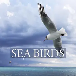 Sea Birds Song Lyrics
