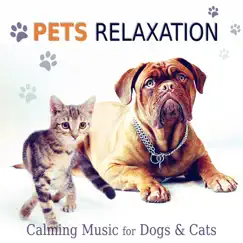 Calming Music for Pets Song Lyrics