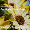 James Scott: Sunflower Slow-Drag (Orchestral) song lyrics