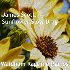 James Scott: Sunflower Slow-Drag (Orchestral) Song Lyrics