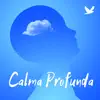 Calma Profunda - Viaje Interior para Relajacion y Serenidad del Cuerpo y Alma album lyrics, reviews, download