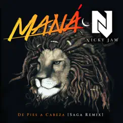 De Pies a Cabeza (Saga Remix) - Single by Maná & Nicky Jam album reviews, ratings, credits