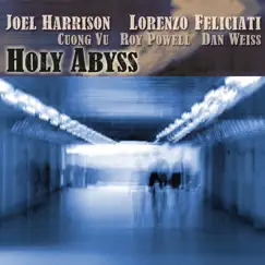Holy Abyss by Joel Harrison, Lorenzo Feliciati, Cuong Vu, Roy Powell & Dan Weiss album reviews, ratings, credits