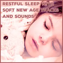 Restful Sleep with Soft New Age Tracks and Sounds: Serenity Soothing Instrumental Music, Chakra Meditation, Peaceful Night & Healing Affirmations by Bedtime Instrumental Piano Music Academy album reviews, ratings, credits