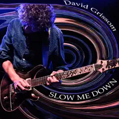 Slow Me Down - Single by David Grissom album reviews, ratings, credits