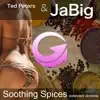 Soothing Spices (Extended Versions) album lyrics, reviews, download