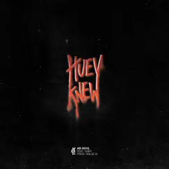Huey Knew (feat. Da$h) - Single by Ab-Soul album reviews, ratings, credits