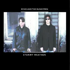 Stormy Weather - Single by Echo & The Bunnymen album reviews, ratings, credits