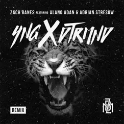 Yng X Dtrmnd (Remix) [feat. Alano Adan & Adrian Stresow] - Single by Zach Banes album reviews, ratings, credits