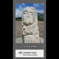 Living Free (Instrumental) - Single by Sounds Good album reviews, ratings, credits