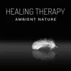 Healing Therapy – Ambient Nature: White Noise for Meditation & Relaxation, Sleeping Trouble, Calming & Natural Music album lyrics, reviews, download