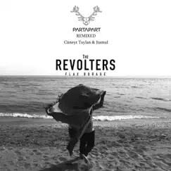 Flax Borage (Partapart Remixes) - Single by The Revolters, Jtamul & Cüneyt Taylan album reviews, ratings, credits