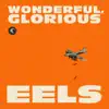 Wonderful, Glorious album lyrics, reviews, download