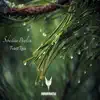 Forest Rain - Single album lyrics, reviews, download