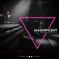 Magnificent by John Sherrill album reviews, ratings, credits