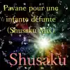Pavane for a dead princess(Shusaku Mix) - Single album lyrics, reviews, download