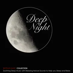 Deep Night - Soothing Sleep Music with Relaxing Nature Sounds to Help you Sleep and Relax (Bedtime Music Collection) by Every Night Alder album reviews, ratings, credits