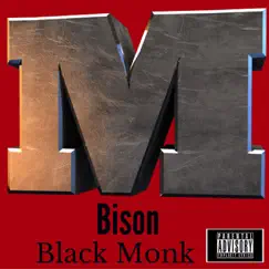 M. Bison - Single by Black Monk album reviews, ratings, credits