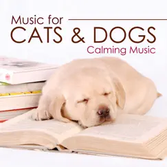 Music for Cats and Dogs - Calming Music for your Pets by Namaste & Zen Music Garden album reviews, ratings, credits