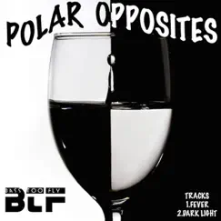 Polar Opposites - Single by DJ Tiny M album reviews, ratings, credits